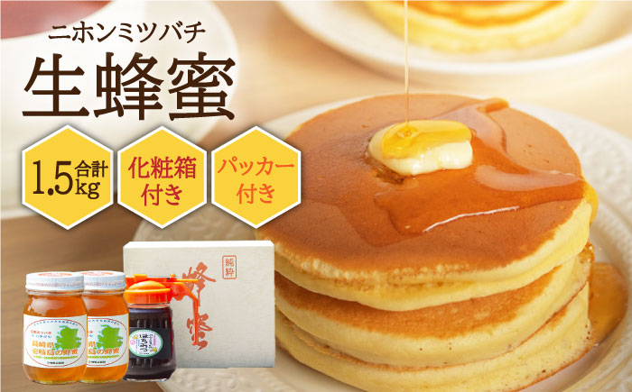 ニホンミツバチ 生蜂蜜 600g×2（パッカー300g・化粧箱付き） 《壱岐市》【憲ちゃんハチミツ】[JCL011] はちみつ 蜂蜜 日本蜜蜂 ギフト プレゼント