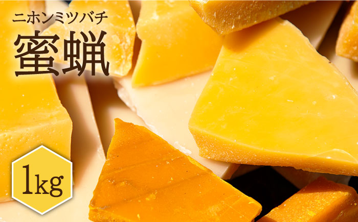 日本蜜蜂 ミツロウ 1kg 《壱岐市》【憲ちゃんハチミツ】[JCL013] 蝋燭 蜜蝋 ロウソク ろうそく 日本蜜蜂  ギフト プレゼント 贈り物 はちみつ 50000 50000円 5万円