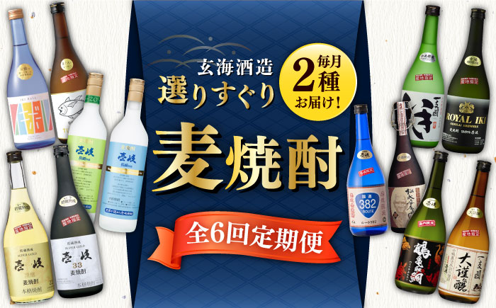 【全6回定期便】麦焼酎発祥の地 玄海酒造定期便 2種類 [JCM038] 96000 96000円