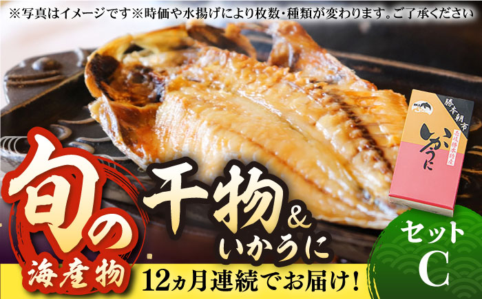 【全12回定期便】旬の海産物 干物詰め合わせ Cセット 《壱岐市》【マルミ海産物】[JCY014] 276000 276000円 干物 ひもの アジ イワシ イカ みりん干し タイ