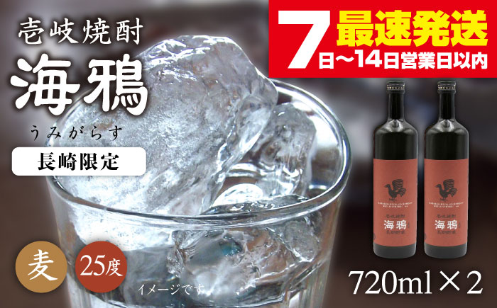 【年内発送】麦焼酎 海鴉 25度 720ml 2本《壱岐市》【天下御免】[JDB034] 16000 16000円 のし ギフト