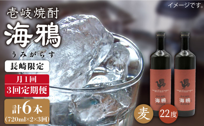 【全3回 定期便 】麦焼酎 海鴉 25度 720ml 2本入りセット 《 壱岐市 》【天下御免】[JDB110] 48000 48000円