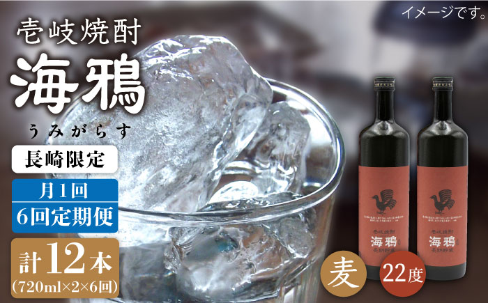 【全6回 定期便 】麦焼酎 海鴉 25度 720ml 2本入りセット 《 壱岐市 》【天下御免】[JDB111] 96000 96000円