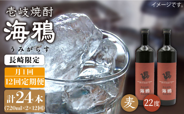 【全12回 定期便 】麦焼酎 海鴉 25度 720ml 2本入りセット 《 壱岐市 》【天下御免】[JDB112] 192000 192000円