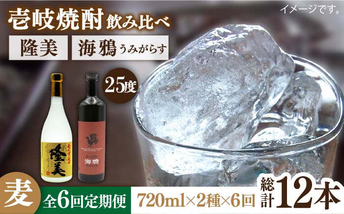 【全6回定期便】隆美焼酎25度と海鴉25度のセット [JDB190] 90000 90000円