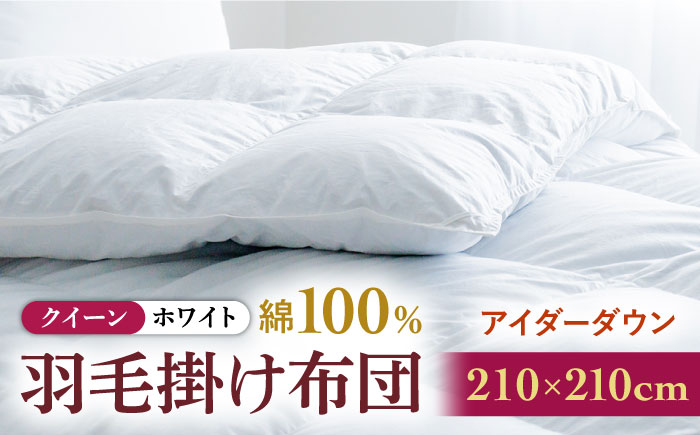 【クイーン】【至福の寝ごこち】 羽毛布団 本掛け アイダーダウン×綿100％（ホワイト・精紡交撚）《壱岐市》【富士新幸九州】 [JDH081] アイダーダウン 布団 ふとん 綿100％ 本掛 掛布団 掛け布団 掛けふとん ダウン クイーン 3700000 3700000円