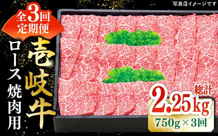【全3回定期便】 特選 壱岐牛 ロース 750g（焼肉）《壱岐市》【太陽商事】[JDL076] 肉 和牛 牛肉 黒毛和牛 BBQ 焼肉 赤身 150000 150000円 15万円