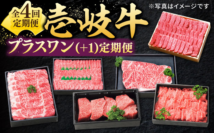 【全4回定期便】 特選 壱岐牛 プラスワン（＋1） 定期便 《壱岐市》【太陽商事】[JDL096] ステーキ サーロイン モモ 焼肉 すき焼き しゃぶしゃぶ 153000 153000円 15万円