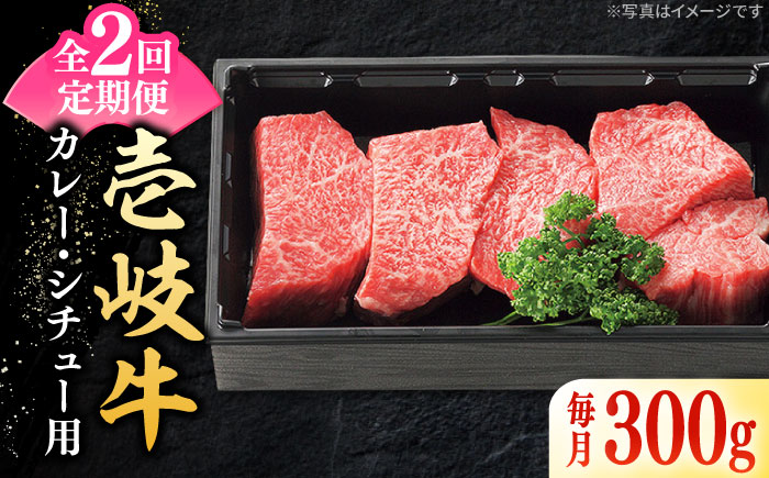 【全2回定期便】 特選 壱岐牛 すね肉 300g（カレー・シチュー用）《壱岐市》【太陽商事】肉 牛肉 黒毛和牛 ブランド牛 カレー シチュー 赤身 チマキ 煮込み ブロック 国産 九州 お祝い [JDL126]