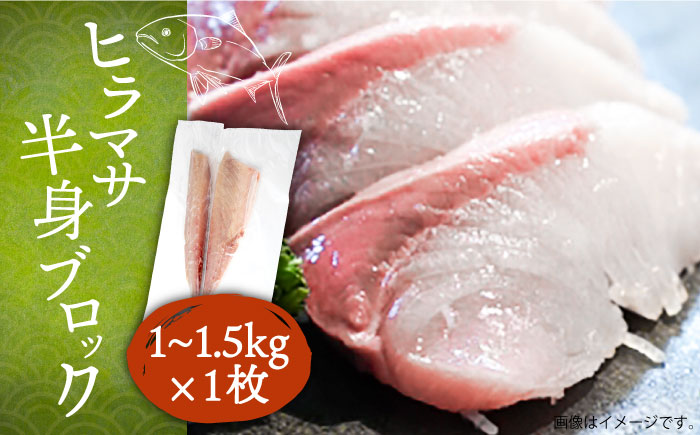 ヒラマサフィレ 約1～1.5kg（半身）《壱岐市》【なかはら】[JDT008] ヒラマサ フィレ 柵 刺身  刺し身 切身 冷凍配送 海鮮 海鮮丼 27000 27000円