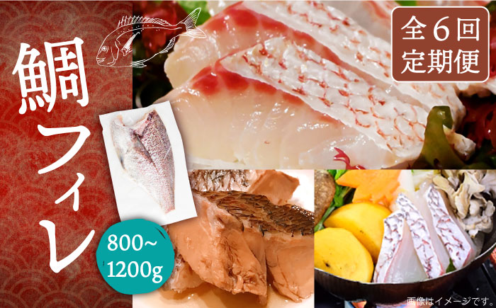 【全6回定期便】鯛フィレ 約800～1200g（1尾・2kg台）《壱岐市》【なかはら】 [JDT034] タイ 鯛 フィレ 柵 刺身 刺身ブロック 刺し身 切身 冷凍 海鮮 海鮮丼 定期便 162000 162000円 冷凍配送