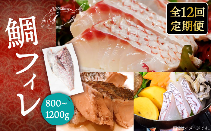 【全12回定期便】鯛フィレ 約800～1200g（1尾・2kg台）《壱岐市》【なかはら】 [JDT035] タイ 鯛 フィレ 柵 刺身 刺身ブロック 刺し身 切身 冷凍 海鮮 海鮮丼 定期便 324000 324000円 冷凍配送