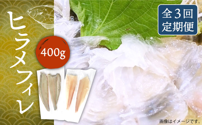 【全3回定期便】ヒラメフィレ 約400g（1尾・1kg台前後）《壱岐市》【なかはら】 [JDT036] ヒラメ ひらめ フィレ 柵 刺身 刺身ブロック 刺し身 切身 冷凍 海鮮 海鮮丼 78000 78000円 冷凍配送