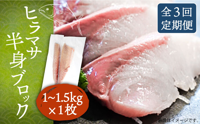 【全3回定期便】ヒラマサフィレ 約1～1.5kg（半身）《壱岐市》【なかはら】[JDT039] ヒラマサ フィレ 柵 刺身 刺身ブロック 刺し身 切身 冷凍 海鮮 海鮮丼 81000 81000円 冷凍配送
