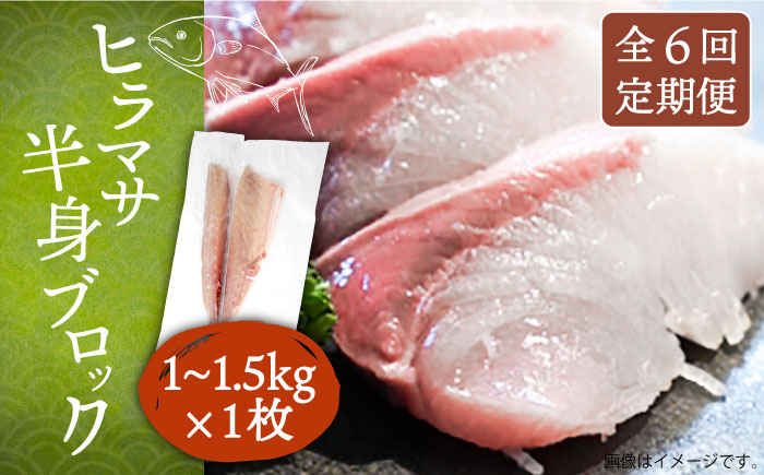 【全6回定期便】ヒラマサフィレ 約1～1.5kg（半身）《壱岐市》【なかはら】[JDT040] ヒラマサ フィレ 柵 刺身 刺身ブロック 刺し身 切身 冷凍 海鮮 海鮮丼 162000 162000円 冷凍配送