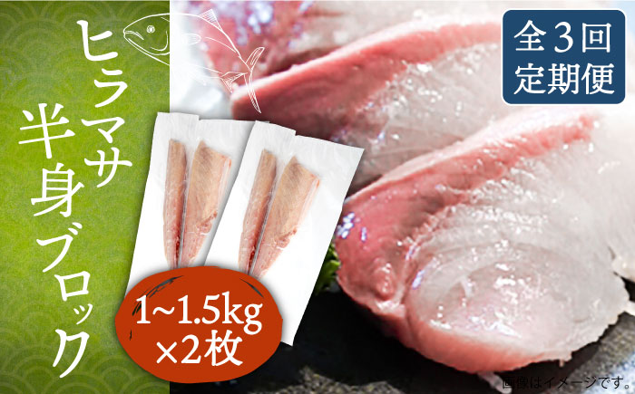 【全3回定期便】ヒラマサフィレ 約2～3kg（1尾）《壱岐市》【なかはら】[JDT042] ヒラマサ フィレ 柵 刺身 刺身ブロック 刺し身 切身 冷凍 海鮮 海鮮丼   冷凍配送 100000 100000円 10万円