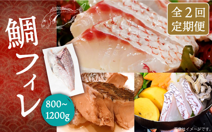 【全2回定期便】鯛フィレ 約800～1200g（1尾・2kg台）《壱岐市》【なかはら】 [JDT068] タイ 鯛 フィレ 柵 刺身 刺身ブロック 刺し身 切身 冷凍 海鮮 海鮮丼 定期便 54000 54000円 冷凍配送
