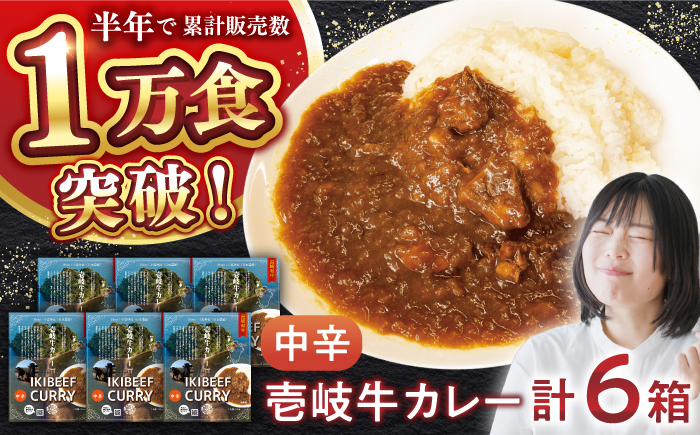 【お歳暮対象】壱岐牛カレー中辛づくし《壱岐市》【壱岐フードファクトリー】常温配送 カレー ご当地カレー レトルト 簡単調理 [JDW041]