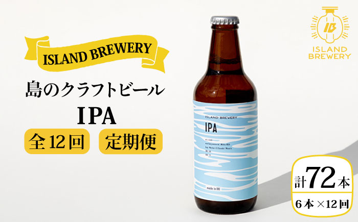 【全12回 定期便 】クラフトビール 地ビール  IPA 6本 【ISLAND BREWERY】 《 壱岐市 》[JED014] 204000 204000円
