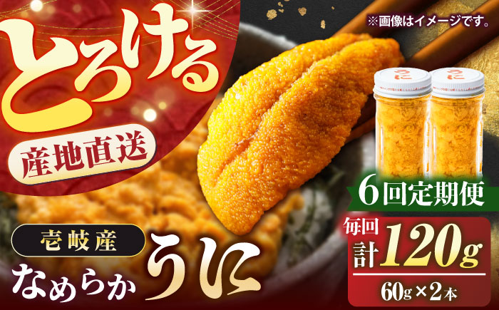 【全6回定期便】数量限定！壱岐の生うに 2本セット [JEH006] 180000 180000円