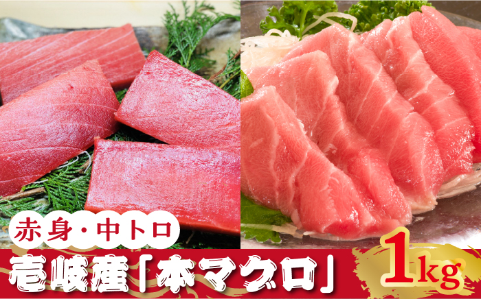 【数量限定】壱岐産 本マグロ 赤身・中トロ セット 1kg（各約500g） 《壱岐市》【大幸物産】 マグロ 鮪 刺身 中トロ   8万 [JEH020] 80000 80000円 8万円