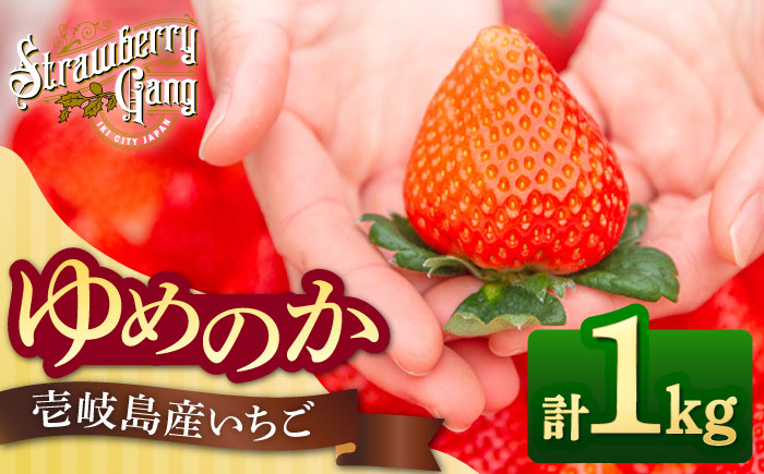 【先行予約】ゆめのか 約250g×4パック【2026年1月以降順次発送】《壱岐市》【Strawberry Gang】 [JEM001] セット いちご イチゴ 苺 定期便 果物 フルーツ スムージー 15000 15000円