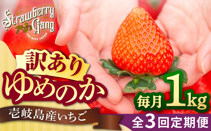 【訳あり/簡易包装】【全3回定期便】【先行予約】ゆめのか 約250g×4パック《壱岐市》【Strawberry Gang】 [JEM004] イチゴ 苺 果物 フルーツ スムージー 39000 39000円 冷蔵配送