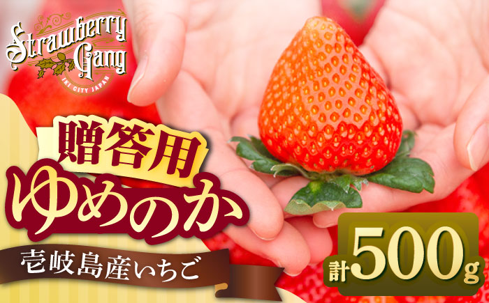 【贈答用】ゆめのか 250g×2パック 《壱岐市》【Strawberry Gang】 [JEM005] セット いちご イチゴ 苺 果物 フルーツ スムージー プレゼント ギフト 9000 9000円