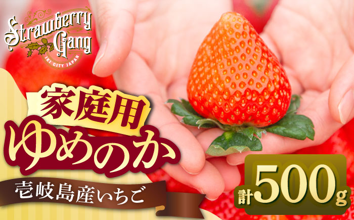 【訳あり/簡易包装】ゆめのか 約250g × 2パック 《壱岐市》【Strawberry Gang】[JEM006] セット いちご イチゴ 苺 果物 フルーツ スムージー 訳あり 8000 8000円