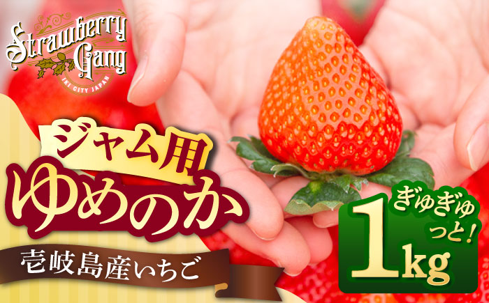 【ジャム用】ゆめのか（小玉・中玉） 1kg 《壱岐市》【Strawberry Gang】[JEM007] セット いちご イチゴ 苺 果物 フルーツ スムージー お菓子作り ジャム 材料 13000 13000円