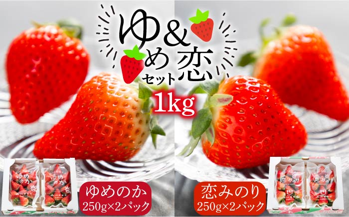 【先行予約】いちご イチゴ 苺 ゆめのか・恋みのり 計 1kg「ゆめ恋セット」【2026年2月以降順次発送】《壱岐市》【蒼花】 [JEO001] 15000 15000円