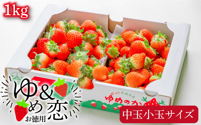 【先行予約】お徳用 いちご 1kg【2026年2月以降順次発送】《壱岐市》【蒼花】 [JEO002]イチゴ 苺 バラ詰め ゆめのか 恋みのり  中玉小玉サイズ 10000 10000円