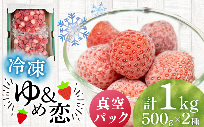 冷凍いちご 1kg 『ゆめ恋フローズンセット』《壱岐市》【蒼花】 産地直送 冷凍配送 苺 フルーツ フローズン 朝食 ゆめのか 恋みのり [JEO005]