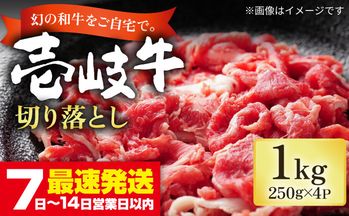 壱岐牛 切り落し （250g×4パック） 《壱岐市》【長崎フードサービス】 スネ肉 1kg 牛肉 牛 精肉 焼肉 すき焼き 19000 19000円 [JEP004] その他・加工品