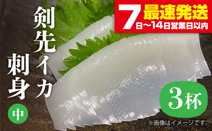 剣先イカ 刺身 （中） 3杯 《壱岐市》【株式会社マルショウ】 いか イカ 剣先いか セット おつまみ のし ギフト [JEW003] 15000 15000円