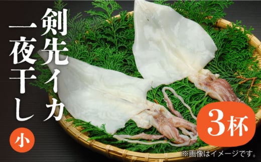 剣先イカ 一夜干 （小） 3杯 《壱岐市》【株式会社マルショウ】 いか  剣先いか セット おつまみ 一夜干し [JEW005] 14000 14000円 のし ギフト