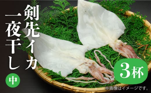 剣先イカ 一夜干 （中） 3杯 《壱岐市》【株式会社マルショウ】 いか 剣先いか セット おつまみ 一夜干し [JEW006] 17000 17000円 のし ギフト
