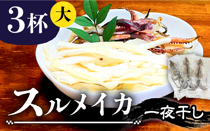 スルメイカ 一夜干し （大）3杯 《壱岐市》【株式会社マルショウ】 いか スルメ おつまみ [JEW010] 13000 13000円