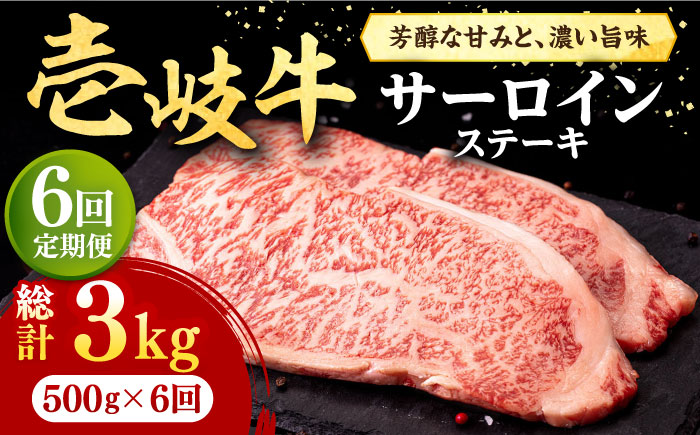 【全6回定期便】 壱岐牛 サーロインステーキ 500g（250g×2枚）《壱岐市》【株式会社イチヤマ】 肉 牛肉 サーロイン ステーキ 焼肉 BBQ [JFE030] 186000 186000円