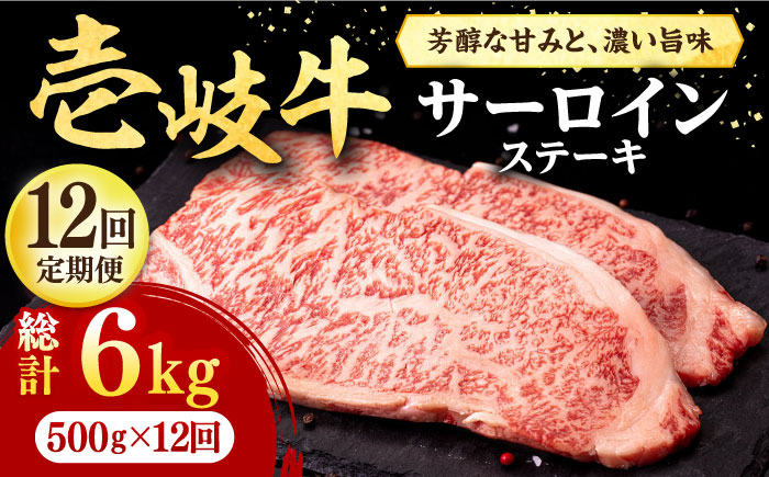 【全12回定期便】 壱岐牛 サーロインステーキ 500g（250g×2枚）《壱岐市》【株式会社イチヤマ】 肉 牛肉 サーロイン ステーキ 焼肉 BBQ [JFE042]