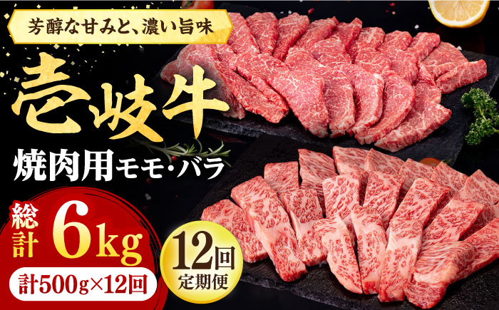 【全12回定期便】 壱岐牛 焼肉用 モモ・バラ（カルビ） 500g《壱岐市》【株式会社イチヤマ】 肉 牛肉 焼肉 モモ バラ カルビ BBQ [JFE082] 252000 252000円