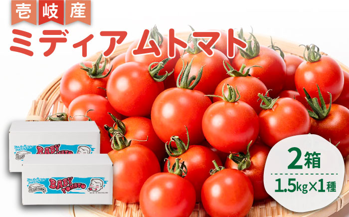 ミディアムトマト バラ 3kg（1.5kg×2箱）《壱岐市》【ISLAND FARM】 トマト 生鮮 野菜 夏 22000 22000円 [JFL002]