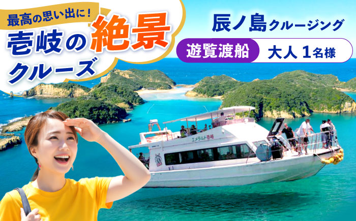 辰ノ島クルージング(辰ノ島遊覧渡船)大人1名様分《壱岐市》【勝本町漁業協同組合】 [JFN003] 10000 10000円 1万円