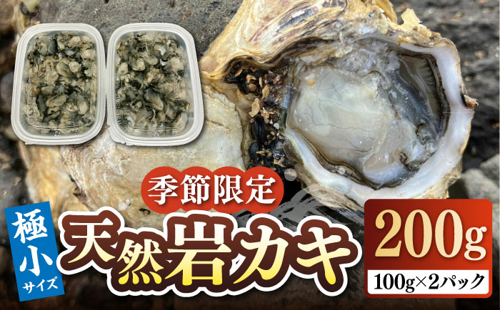 【年内発送】【季節限定】 天然 岩カキ 100g×2パック（生食用）《壱岐市》【鈴の海庭】 牡蠣 カキ 岩牡蠣 貝 魚貝 海産物 おつまみ カキフライ 鍋 カキ鍋 牡蠣鍋 カキ飯 [JFV002]
