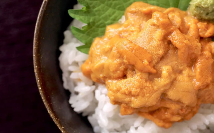 【先行予約】生ウニ 60g 【2026年6月以降順次発送】《壱岐市》【丸昇水産】 うに 雲丹 ウニ 希少 産地直送 ミョウバン不使用 無添加 [JFZ005]