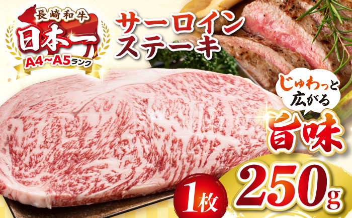 【A4～A5ランク】長崎和牛 サーロインステーキ 250g（250g×1枚）《壱岐市》【株式会社MEAT PLUS】 肉 牛肉 黒毛和牛 ステーキ ご褒美 ギフト 贈答用 ご褒美 冷凍配送 A4 A5 [JGH023]