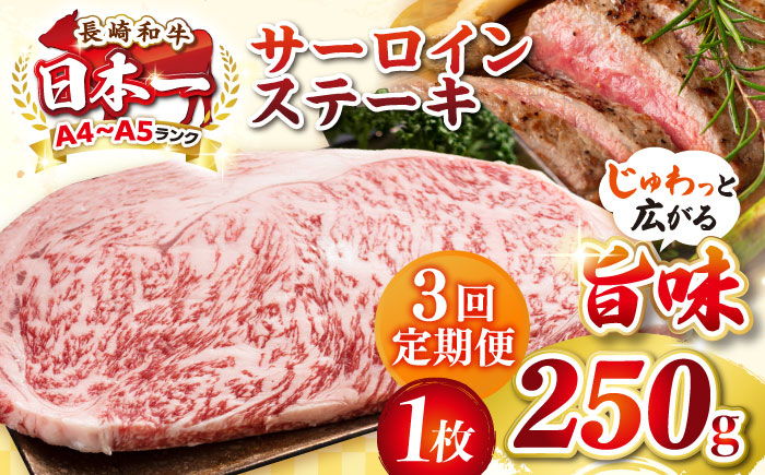 【全3回定期便】【A4～A5ランク】長崎和牛 サーロインステーキ 250g（250g×1枚）《壱岐市》【株式会社MEAT PLUS】 肉 牛肉 黒毛和牛 サーロイン ステーキ ご褒美 ギフト 贈答用 ご褒美 冷凍配送 A4 A5 [JGH124]