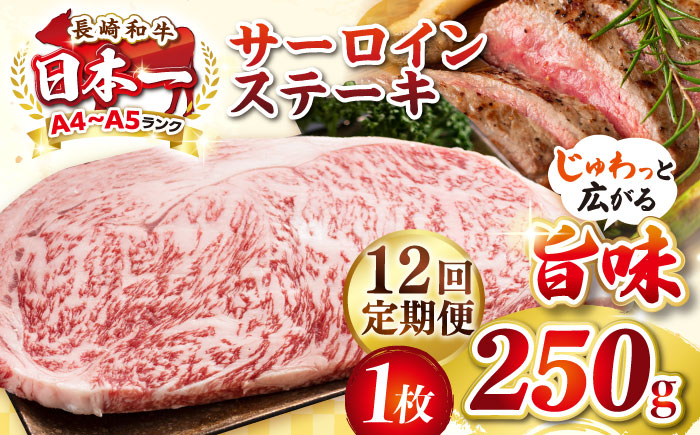 【全12回定期便】【A4～A5ランク】長崎和牛 サーロインステーキ 250g（250g×1枚）《壱岐市》【株式会社MEAT PLUS】 肉 牛肉 黒毛和牛 サーロイン ステーキ ご褒美 ギフト 贈答用 ご褒美 冷凍配送 A4 A5 [JGH126] 100000 100000円 10万円