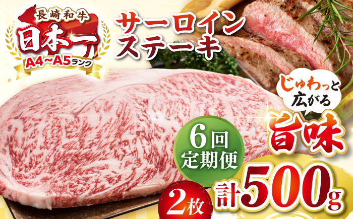 【全6回定期便】【A4～A5ランク】長崎和牛 サーロインステーキ 500g（250g×2枚）《壱岐市》【株式会社MEAT PLUS】 肉 牛肉 黒毛和牛 サーロイン ステーキ ご褒美 ギフト 贈答用 ご褒美 冷凍配送 A4 A5 [JGH129] 100000 100000円 10万円