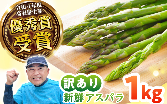 【先行予約】壱岐産 訳アリ アスパラ 1kg【2026年3月下旬以降順次発送】≪壱岐市≫【アスパラガス専門やまかわ屋】国産 冷蔵配送 産地直送 新鮮 [JGZ001]